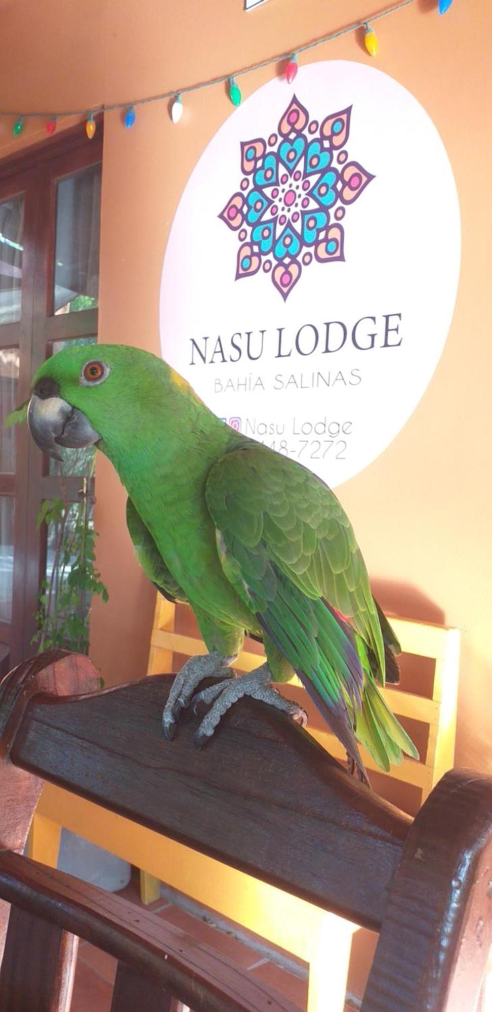 Nasu Lodge La Cruz  Buitenkant foto